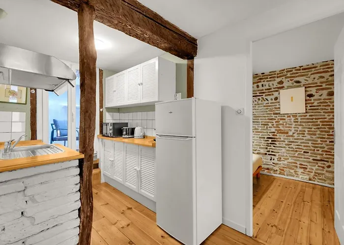 Апартаменты Hippolyte - Appt Avec Terrasse Couverte Тулуза